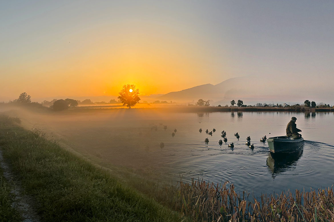 Hunting-shotshells - Baschieri Pellagri